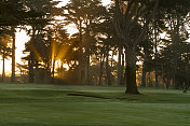 日出在雾蒙蒙的高尔夫球场