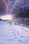 冬季景观与河流在泰洛，奥地利