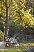 加拿大不列颠哥伦比亚省弗农的花园长凳和秋叶