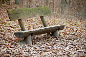 树林里的旧木凳