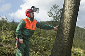 砍伐树木的林业工人