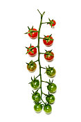 藤蔓上的樱桃番茄的烹饪图像