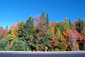 加拿大安大略省的秋天