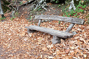 公园里的木凳