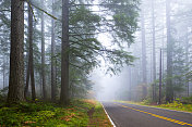 俄勒冈州森林公路。