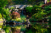 日本的池塘