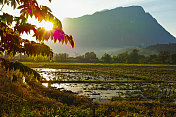 Doi Luang 山和清道。