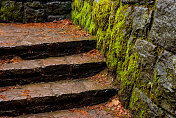 潮湿的石墙和楼梯上覆盖着苔藓、树叶