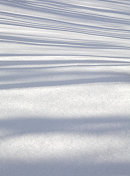 阴影在雪地上