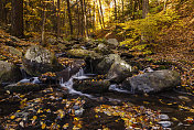 美国宾夕法尼亚州布什基尔瀑布州立公园的秋天溪流