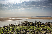退潮时威尔士海岸的沙洲