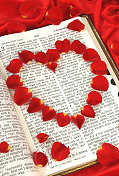 宗教:打开《圣经》中玫瑰花瓣心的爱情章节