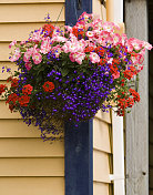 Hanging basket