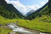 齐勒塔尔阿尔卑斯山景观(奥地利)