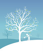 钱的树浇水 钱的树浇水