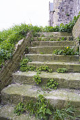 杂草丛生的旧楼梯