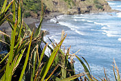 新西兰亚麻和海景