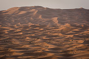 Erg Chebbi沙丘在摩洛哥撒哈拉沙漠日出