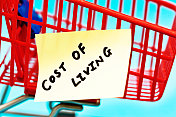 生活成本标签上的小手推车:购物是昂贵的!