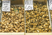 西班牙巴塞罗那的boqueria市场上出售的野生蘑菇