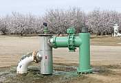 灌溉设备的杏树果园在加利福尼亚