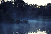 拂晓时薄雾从池塘升起
