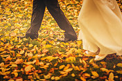 秋天的婚礼