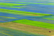 诺尔恰Castelluccio di Norcia(意大利)，绿色山丘上的村庄