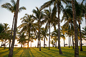 棕榈滩上的日落