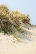 Coxyde比利时海岸的沙丘