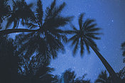 棕榈树和星星
