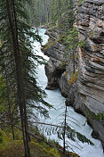 阿萨巴斯卡瀑布的狭窄峡谷