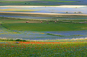 诺尔恰Castelluccio di Norcia(意大利)，绿色山丘上的村庄