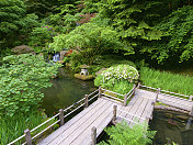 池塘，木材，走道，树木，波特兰，俄勒冈，日本花园