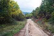 乡间小路