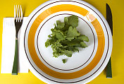 大餐盘上的芝麻菜，黄色背景