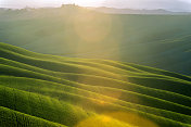 在傍晚的阳光下滚动的托斯卡纳风景，Val D'orcia，意大利