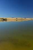 加那利Maspalomas,奶奶,西班牙。