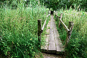 英格兰北约克郡杂草丛生的人行桥