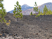 特内里费国家公园里的泰德火山