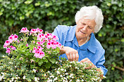 园艺-年长妇女与花