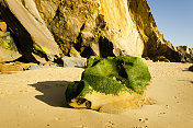 圣克鲁斯的黄色海滩岩石
