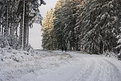 冬季景观与雪域森林小径在高沼泽