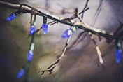 光秃秃的树枝上挂着蓝色的圣诞彩灯