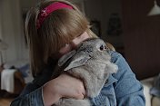 女孩抱着兔子
