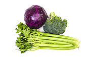 从白花椰菜、芹菜和红甘蓝上分离出来的蔬菜