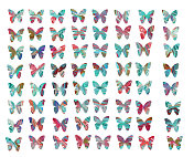 迷幻蝴蝶的图形元素