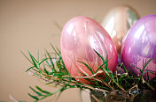 复活节彩蛋在草窝里