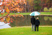 秋雨中，一对老年夫妇站在池塘边