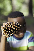 年轻的非洲男孩拿着一棵松树